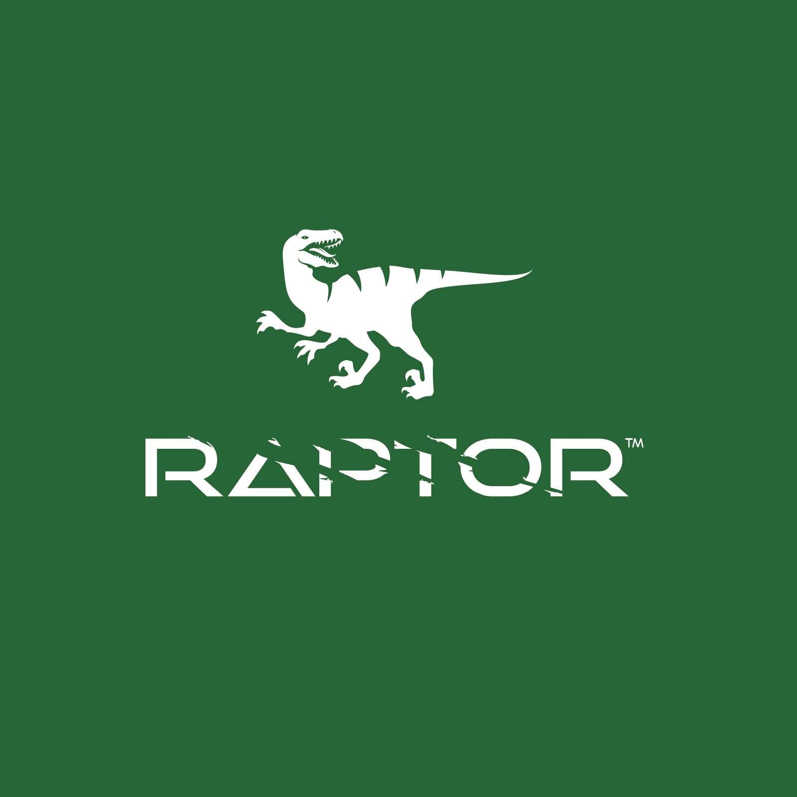 Tucson SEO Raptor Digital Marketing Profile, Logo, Contact, Reviews